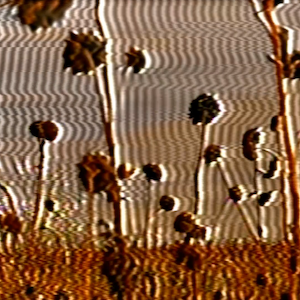 vhs dream 0228