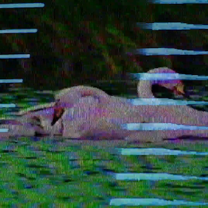vhs dream 0228