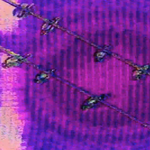 vhs dream 0228