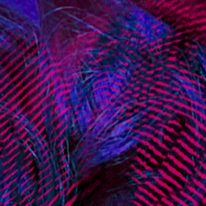 vhs dream 0228