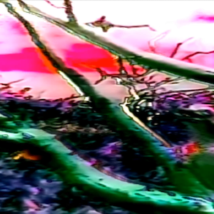 vhs dream 0228