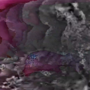 vhs dream 0228