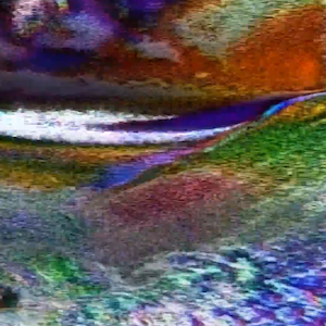 vhs dream 0228