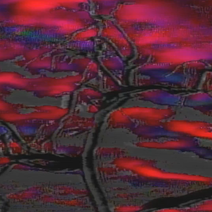 vhs dream 0228