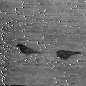vhs dream 0228