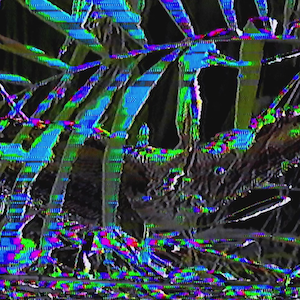vhs dream 0228