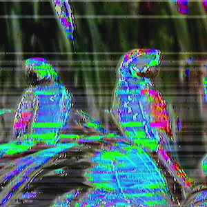 vhs dream 0228